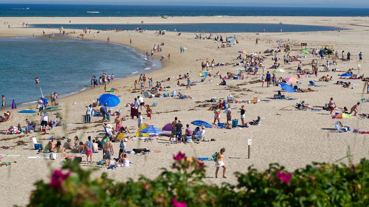 Photo of Others in Chatham