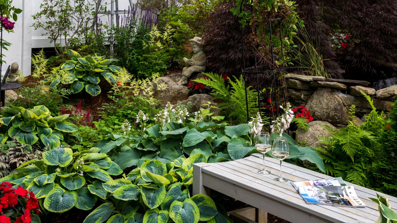 Photo of Outdoor in Chatham