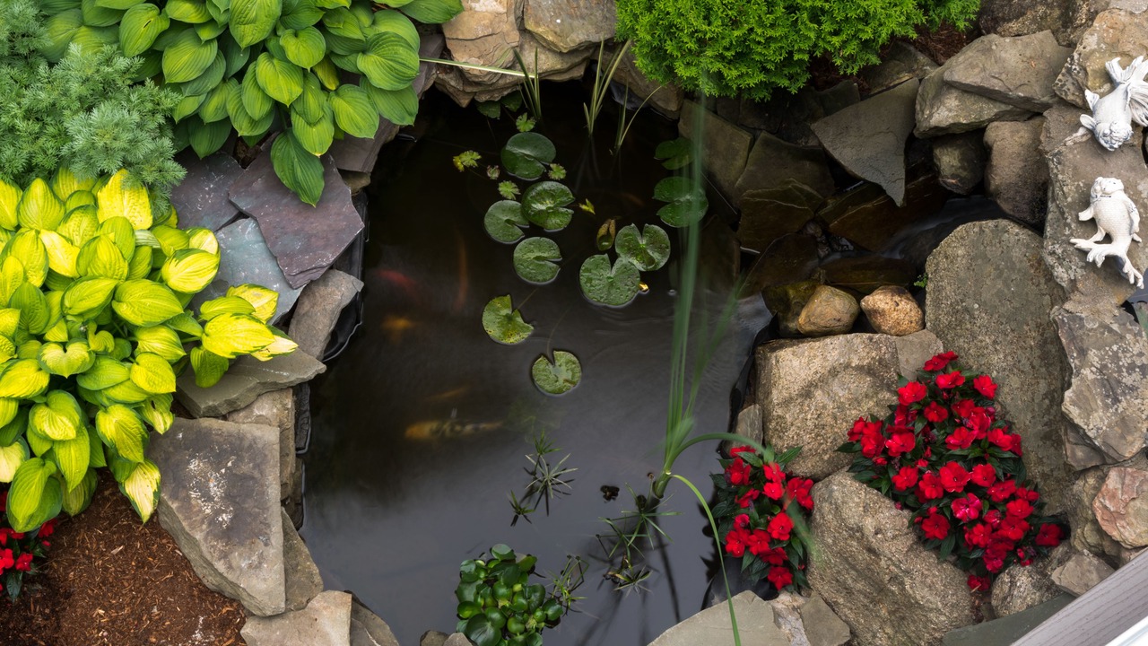 Photo of Outdoor in Chatham