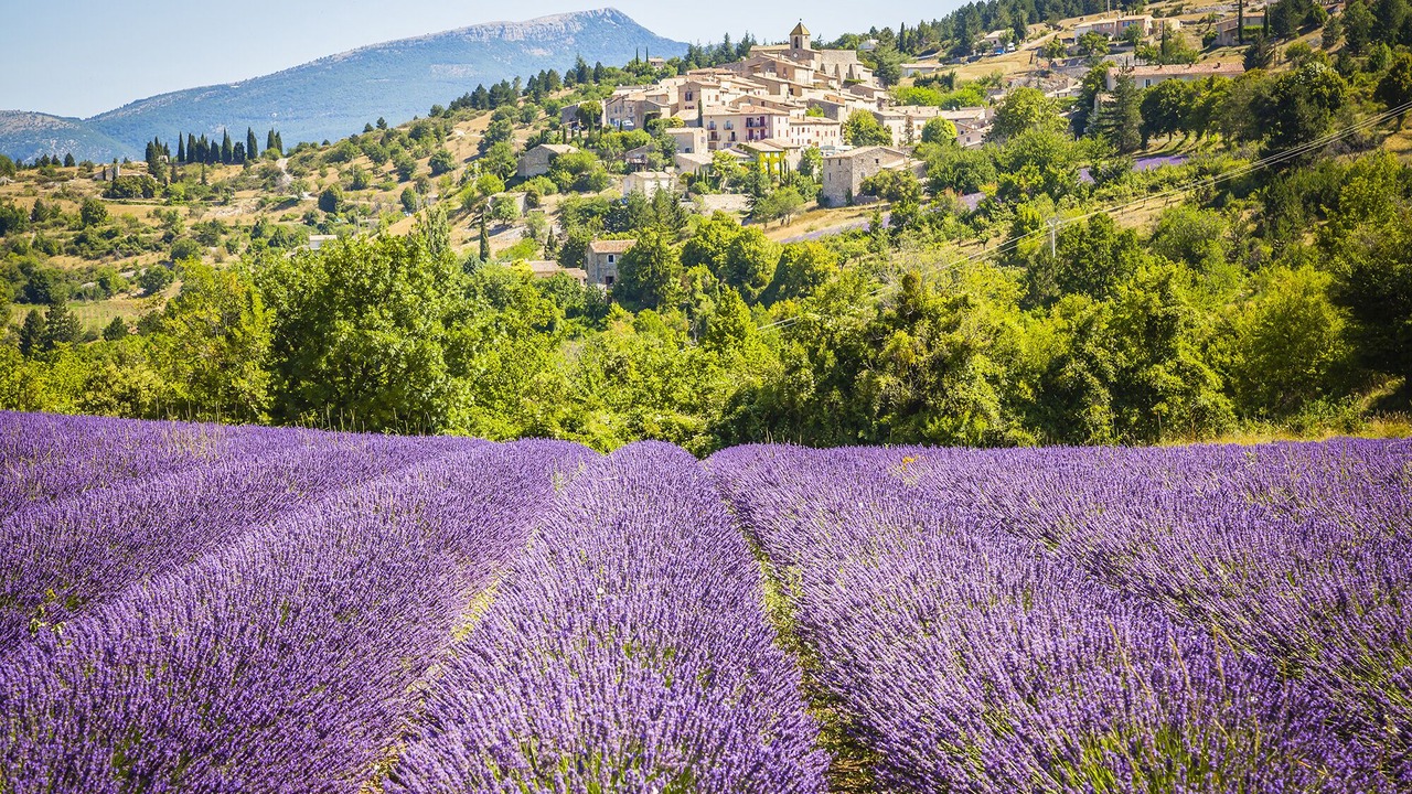 Photo of Outdoor in Entraigues-sur-la-Sorgue