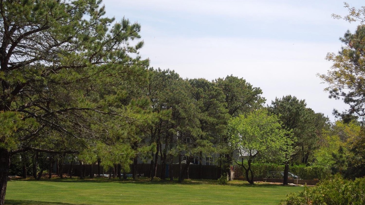 Photo of Outdoor in Shinnecock Hills