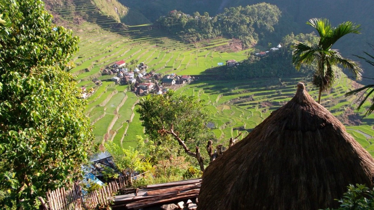 Photo of Others in Batad
