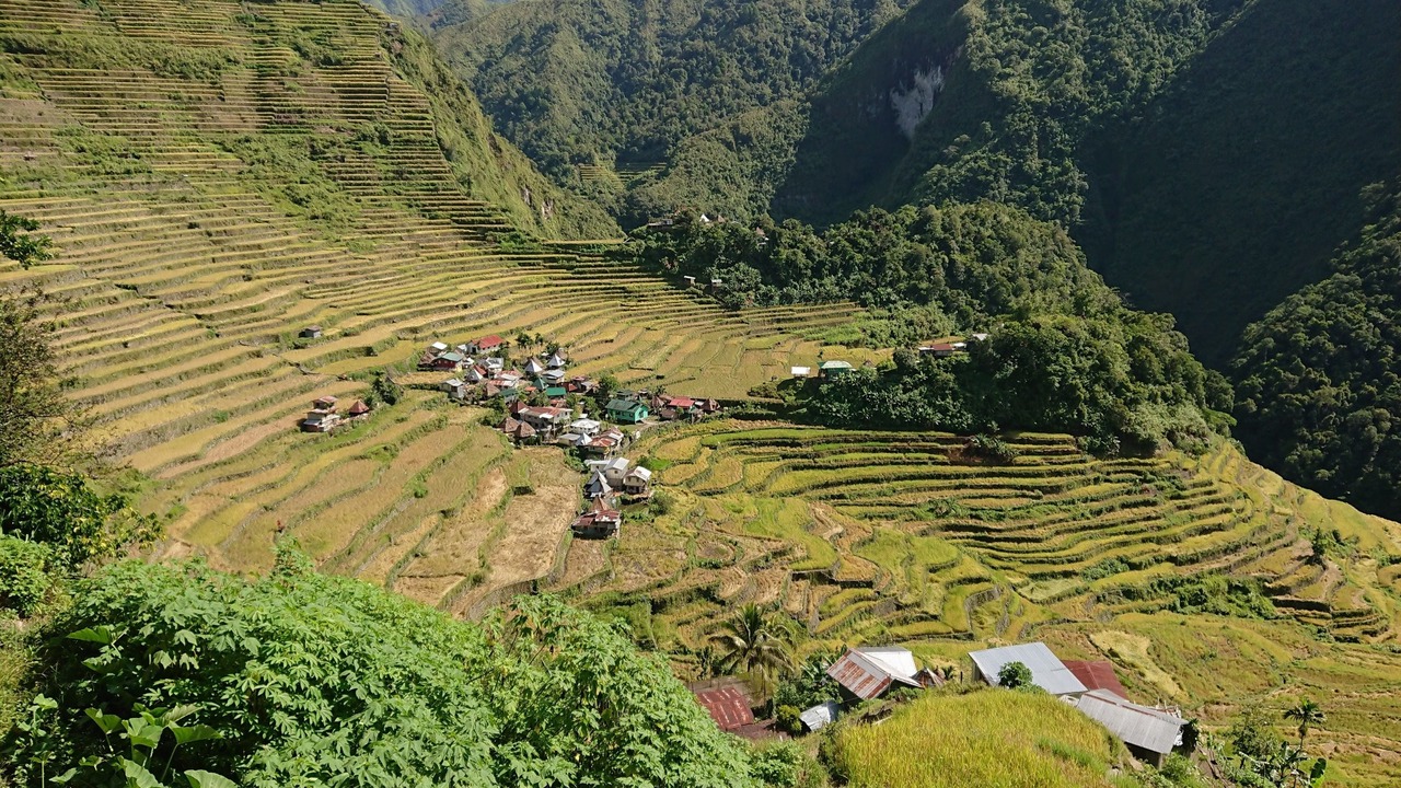 Photo of Others in Batad