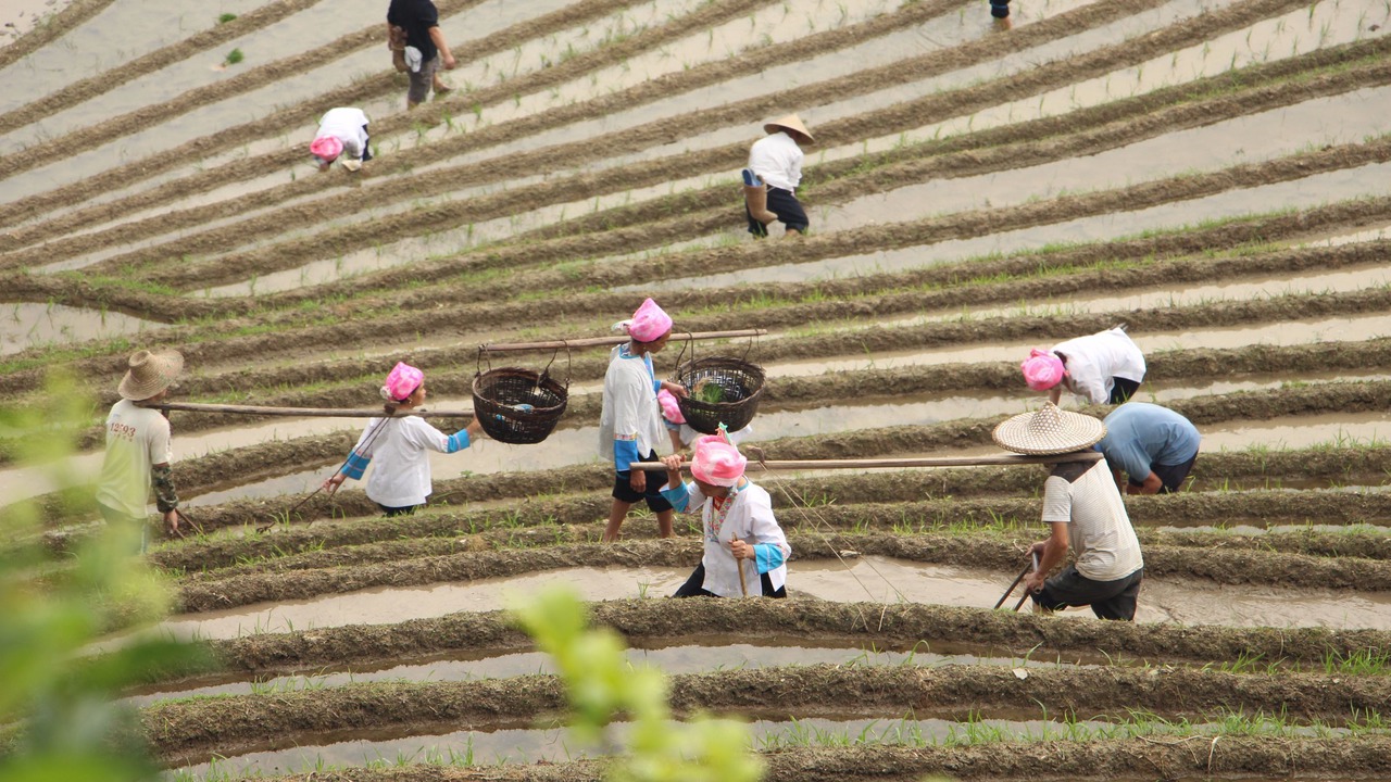 Photo of Outdoor in Longsheng Various Nationalities Autonomous County
