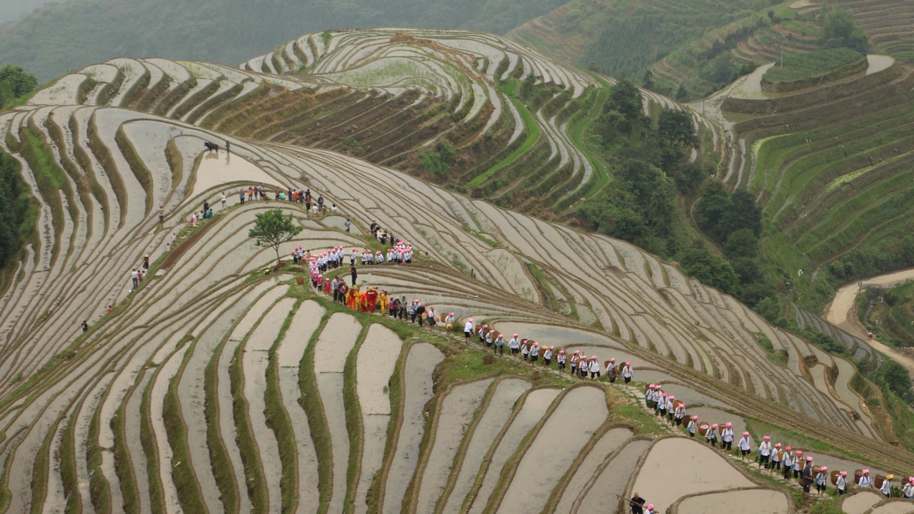 Photo of Others in Longsheng Various Nationalities Autonomous County