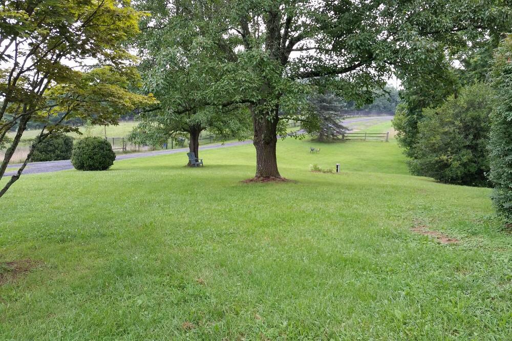 Photo of Others in Leesburg
