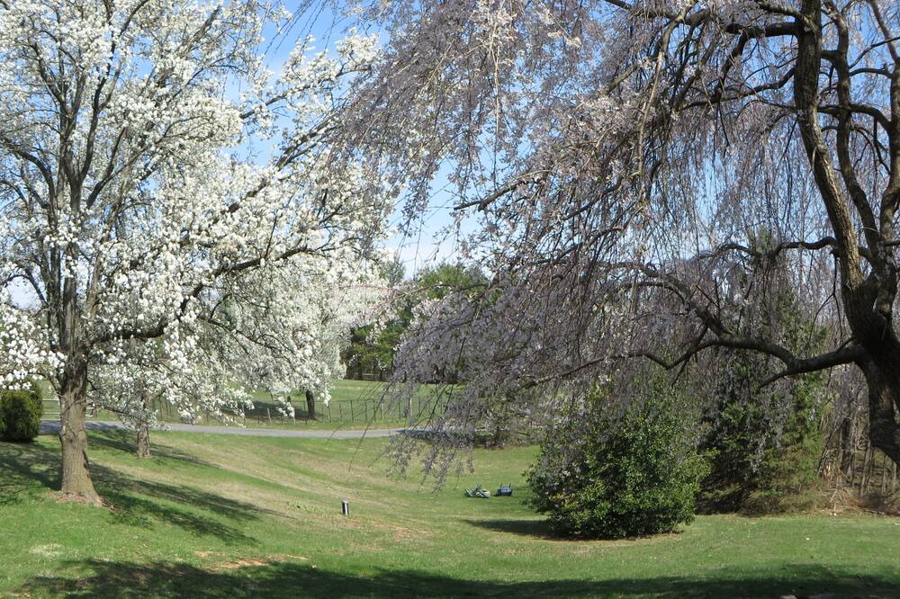 Photo of Outdoor in Leesburg
