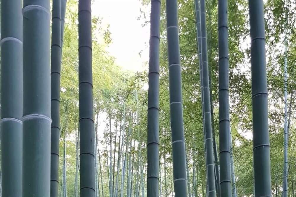 Photo of Outdoor in Moganshan