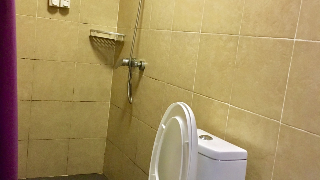 Photo of Bathroom in Qixing