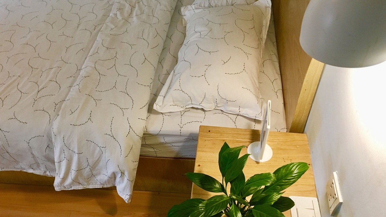 Photo of Bedroom in Qixing