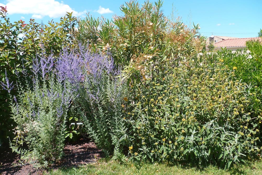 Photo of Outdoor in Montfavet