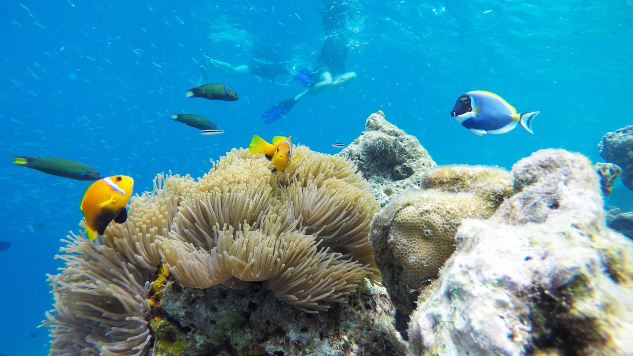 Photo of Outdoor in Guraidhoo