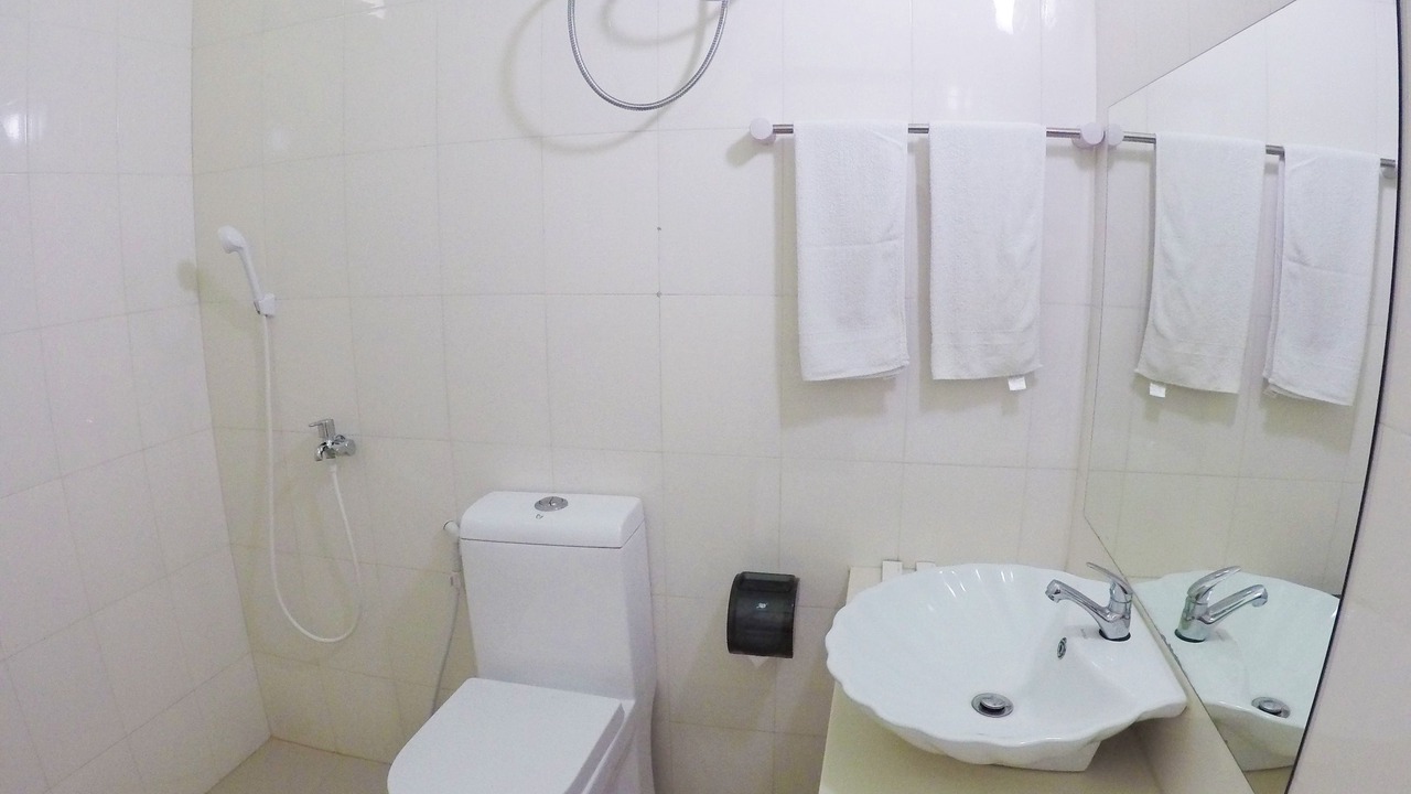 Photo of Bathroom in Guraidhoo