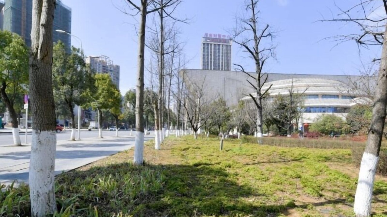 Photo of Outdoor in Qixingguan District