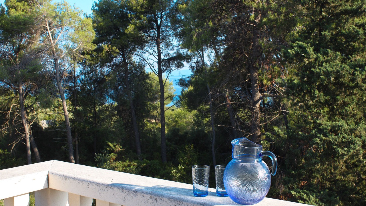 Photo of Outdoor in Mirce
