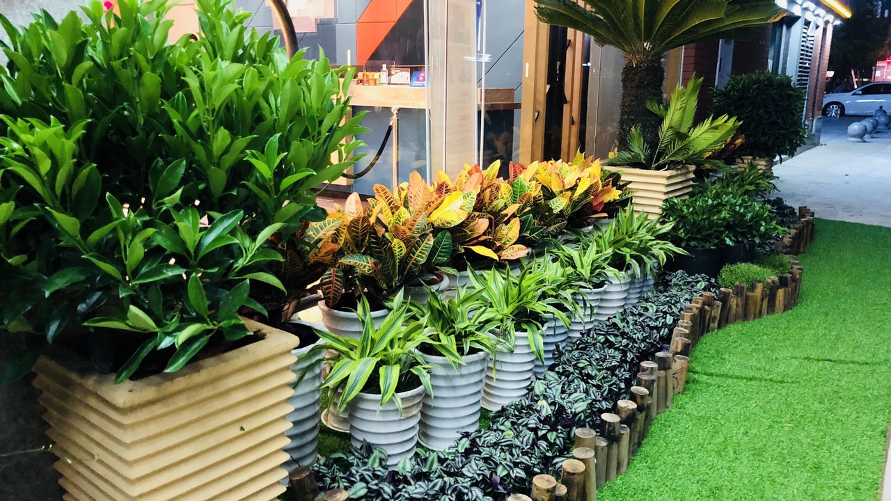 Photo of Outdoor in Chengdu