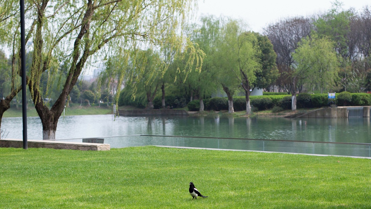 Photo of Outdoor in Hefei New Culture District