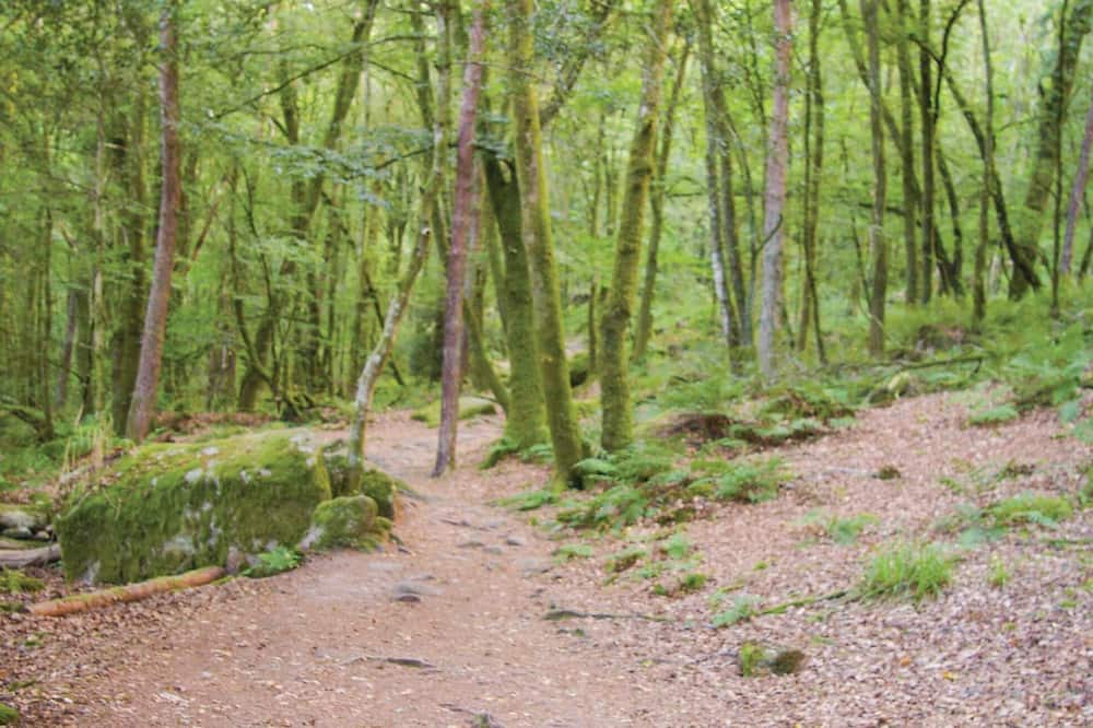Photo of Others in Lanvaudan