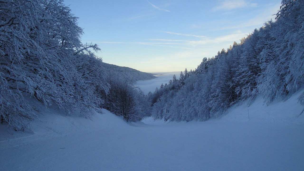 Photo of Others in Saint-Martin-en-Vercors