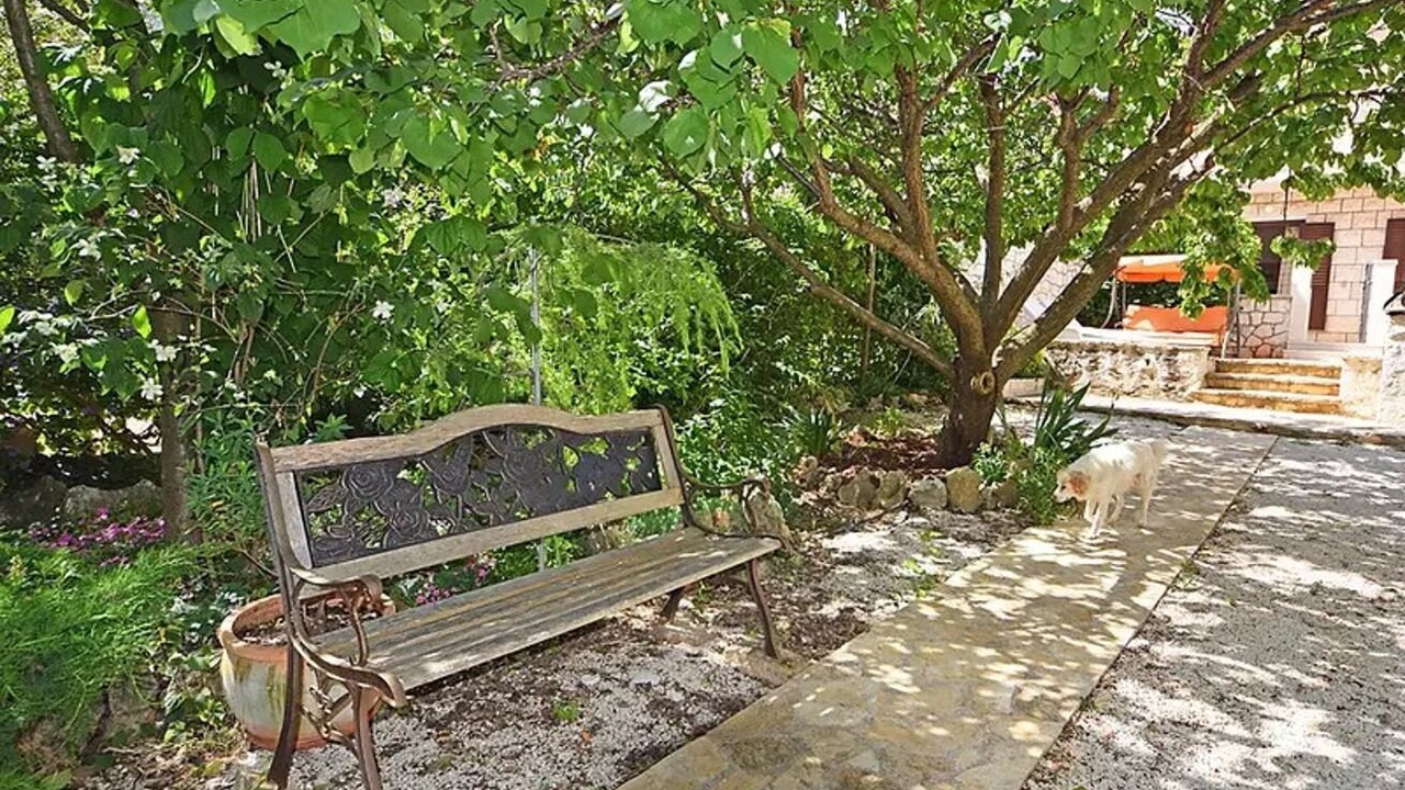 Photo of Outdoor in Supetar
