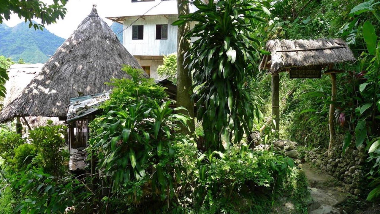 Photo of Outdoor in Batad
