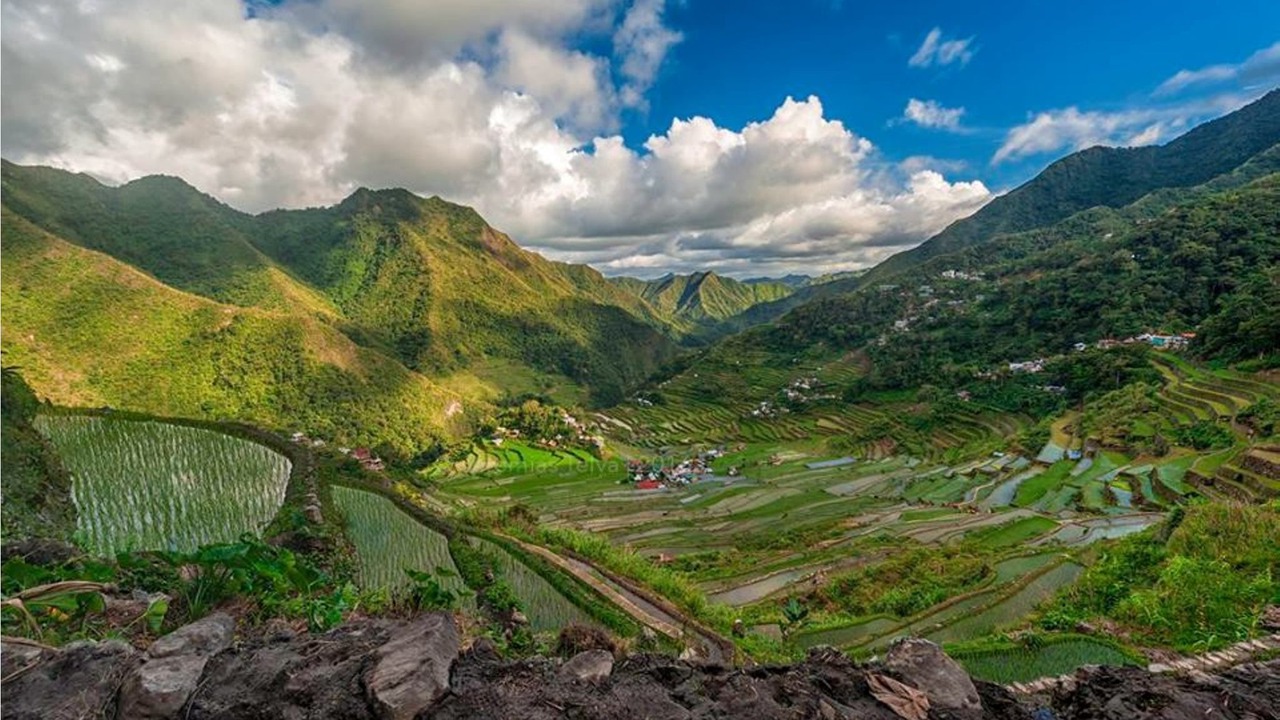 Photo of Livingroom in Batad