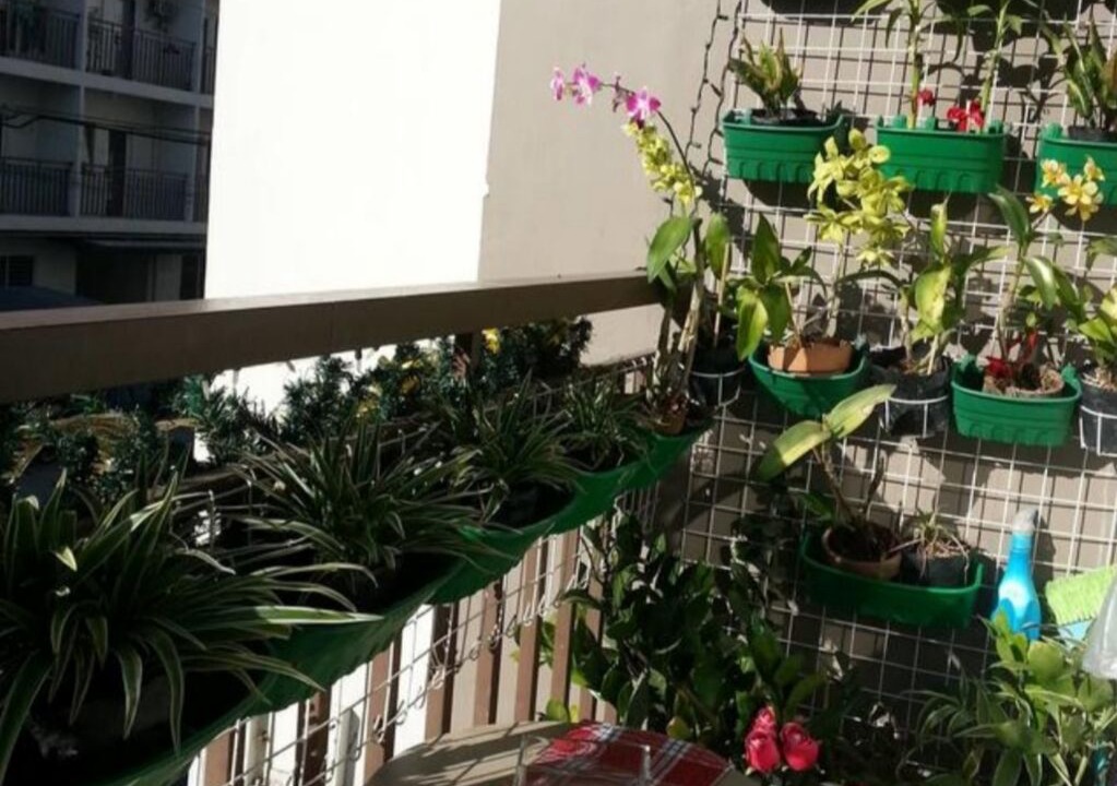 Photo of Outdoor in Moonwalk