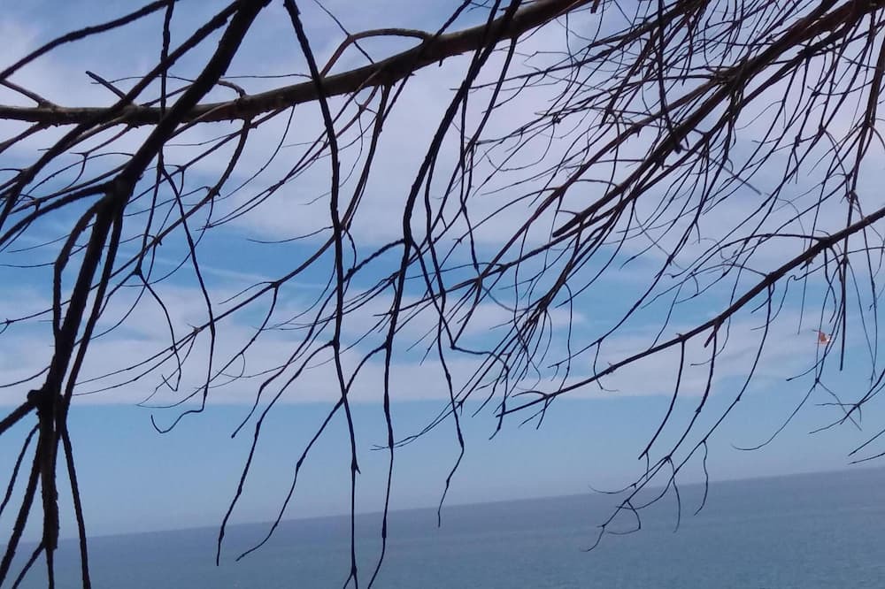 Photo of Outdoor in Vilamoura