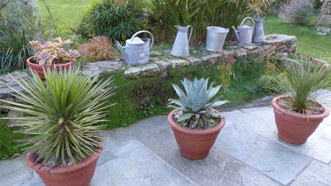 Photo of Outdoor in Lannilis