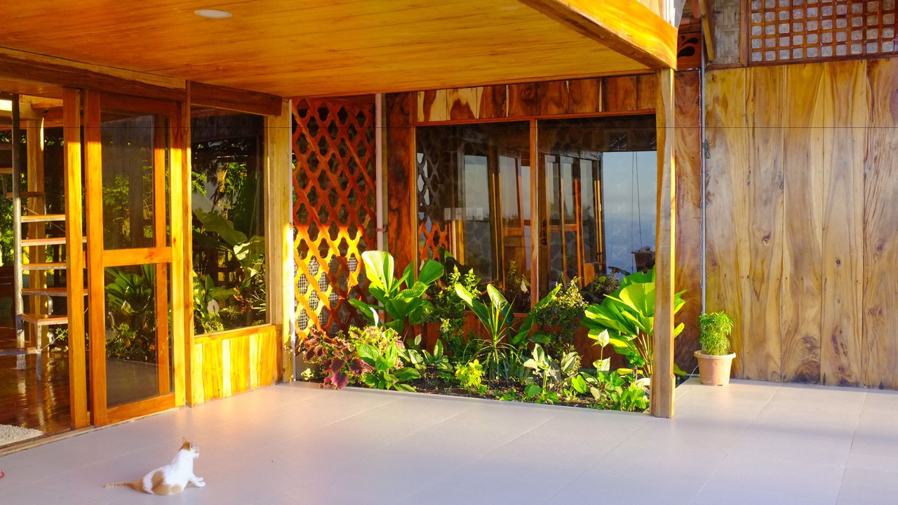 Photo of Outdoor in Mambajao