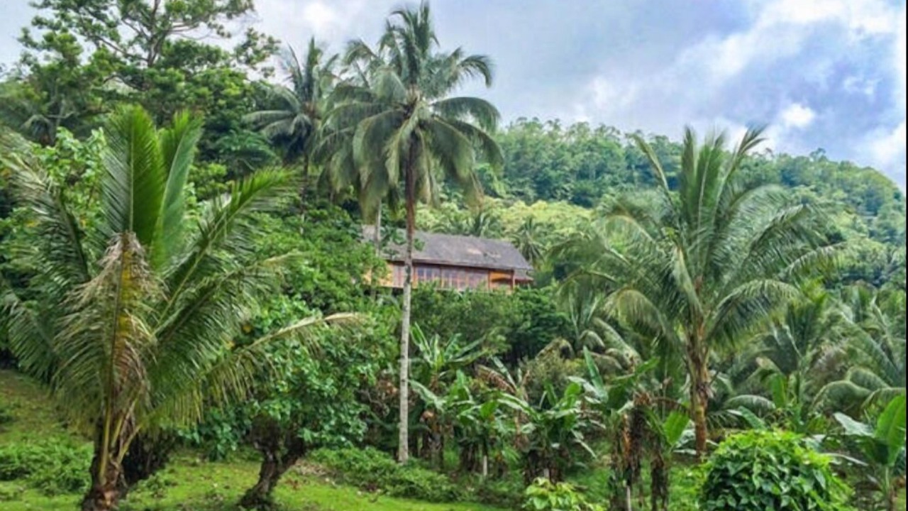 Photo of Outdoor in Mambajao