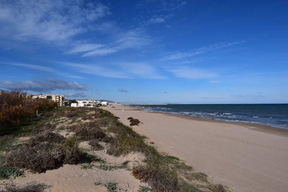 Photo of Outdoor in Oliva