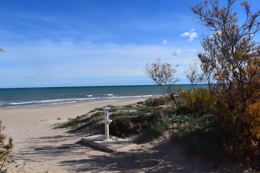 Photo of Outdoor in Oliva