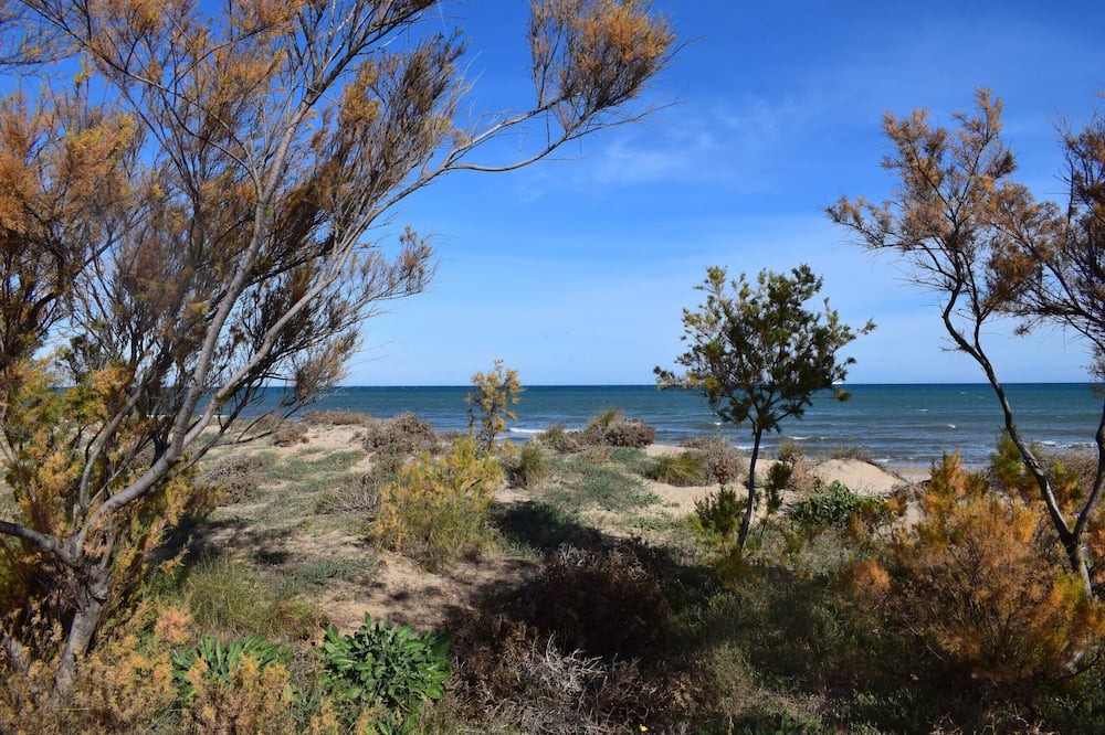 Photo of Outdoor in Oliva
