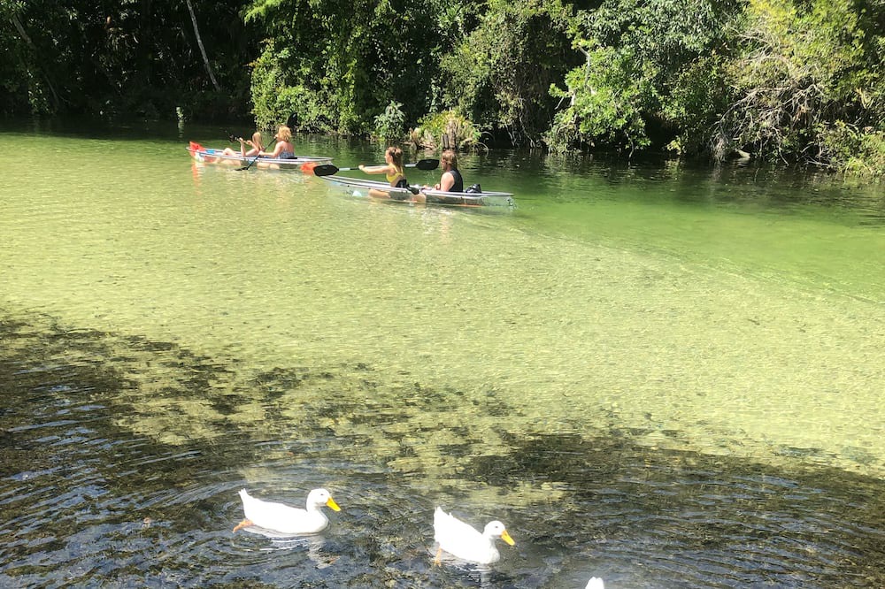 Photo of Outdoor in Weeki Wachee Gardens
