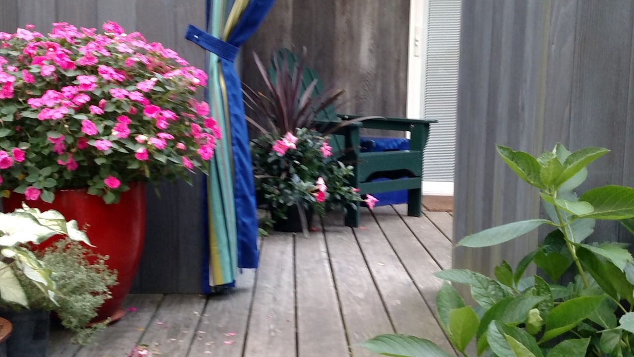 Photo of Outdoor in Oyster Bay