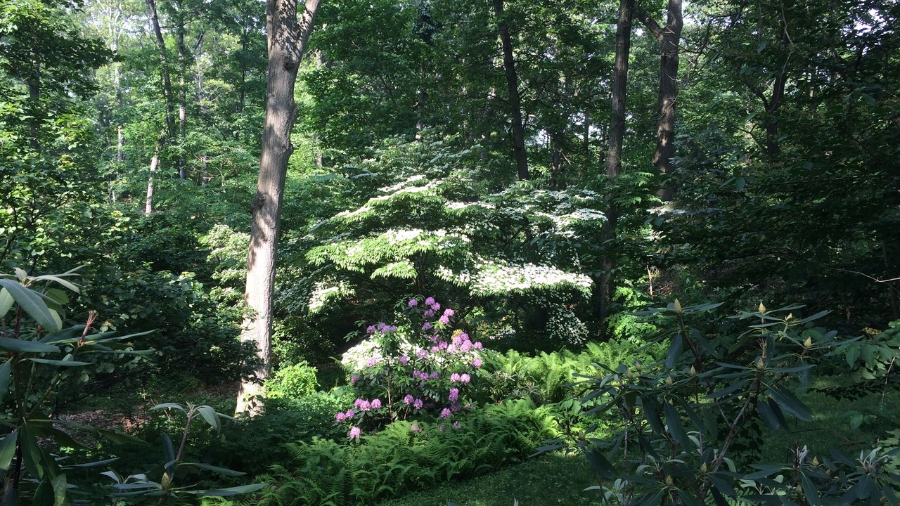 Photo of Outdoor in Oyster Bay