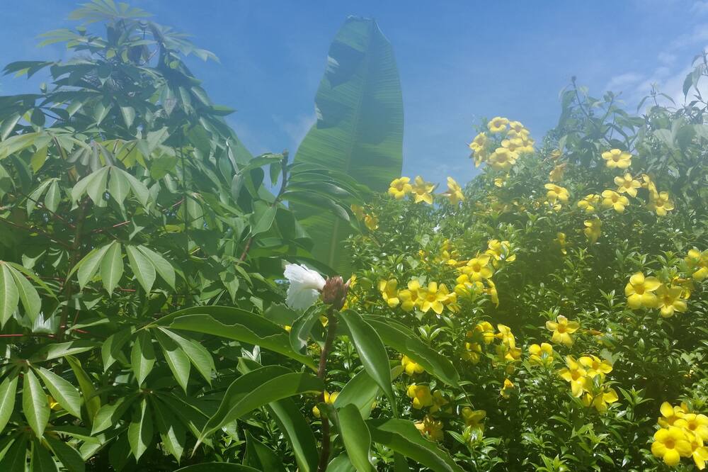 Photo of Outdoor in El Nido