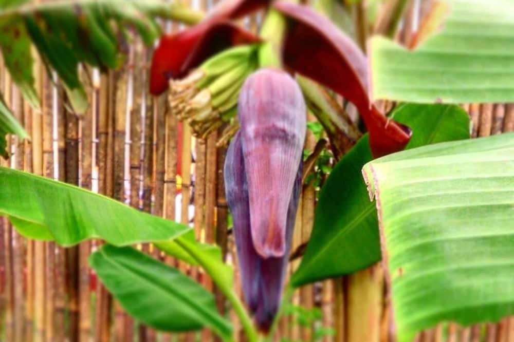 Photo of Outdoor in El Nido