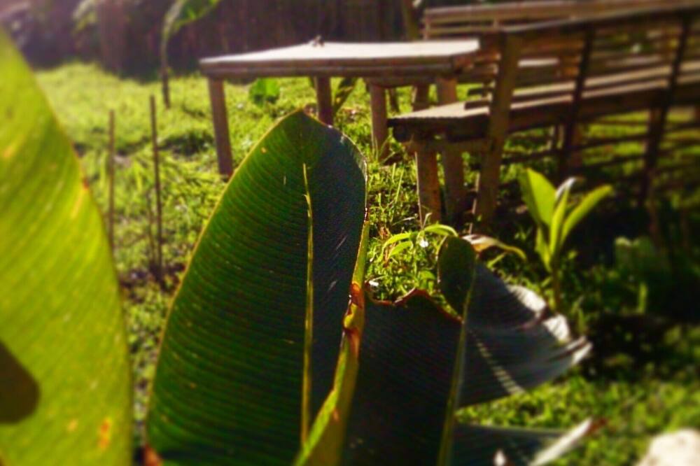Photo of Outdoor in El Nido