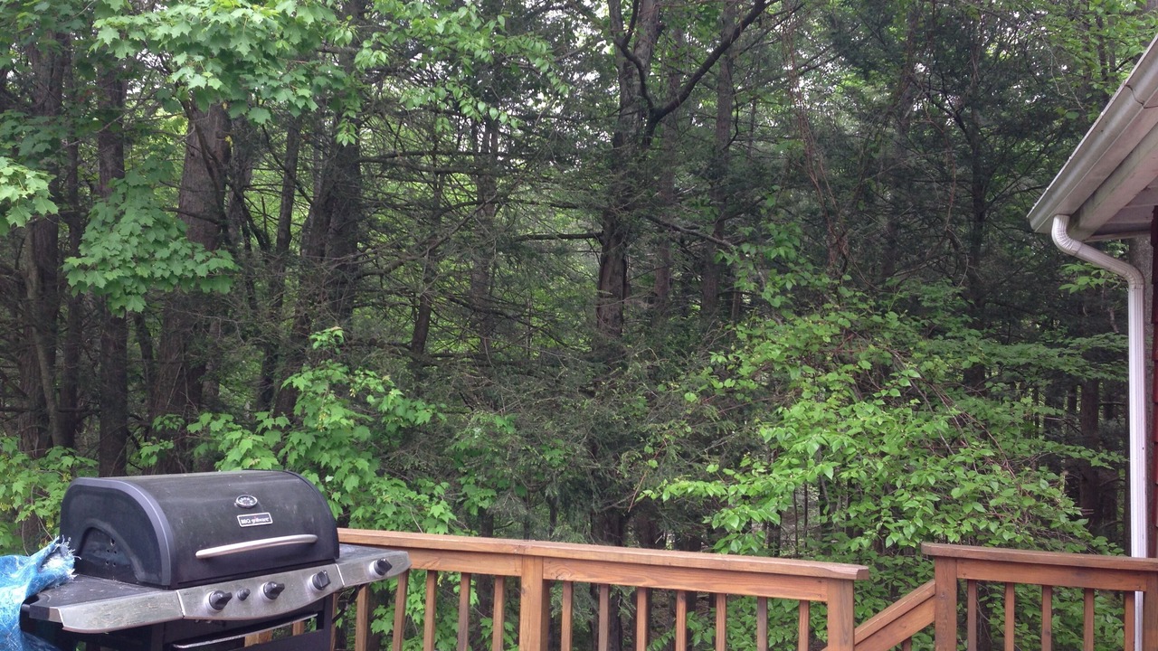 Photo of Outdoor in Allaben