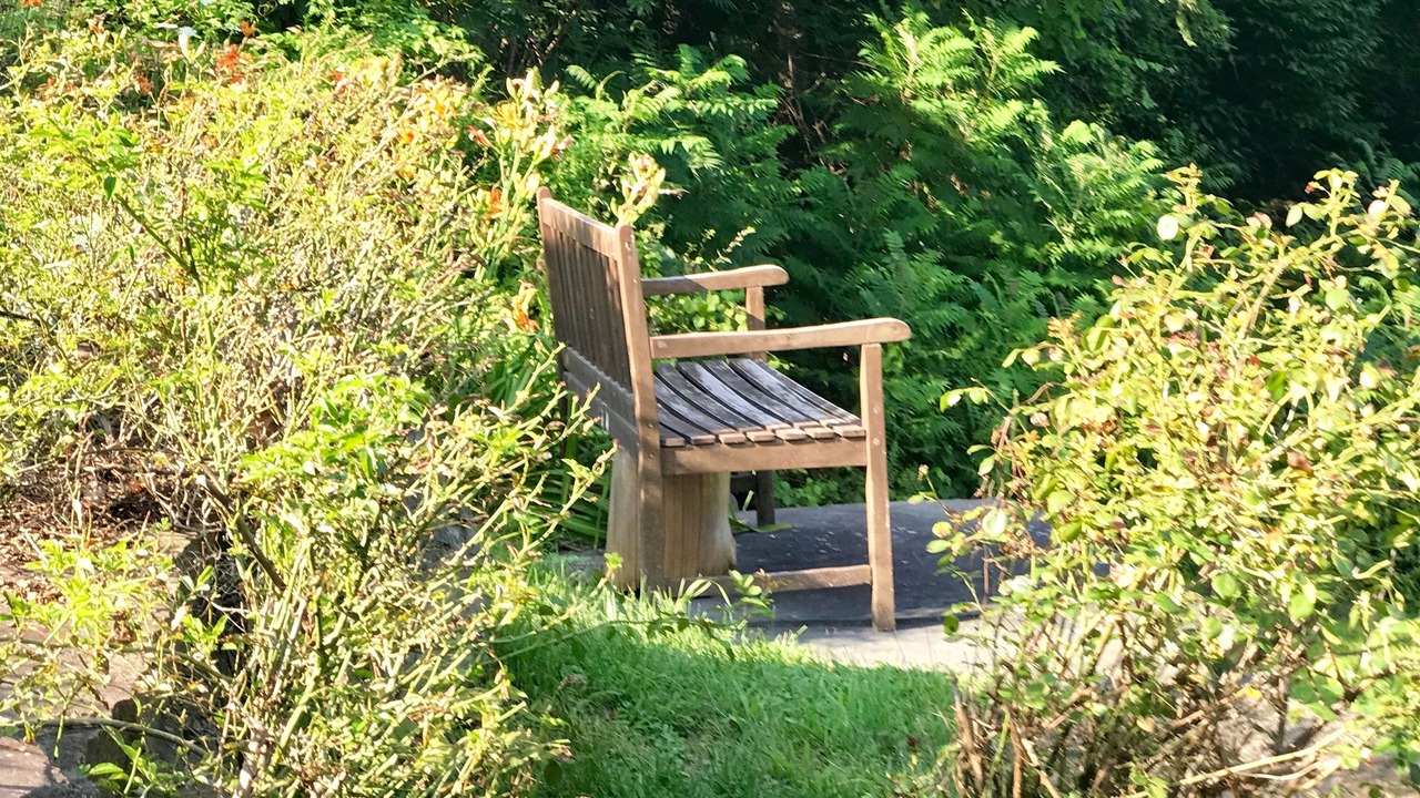 Photo of Outdoor in Allaben