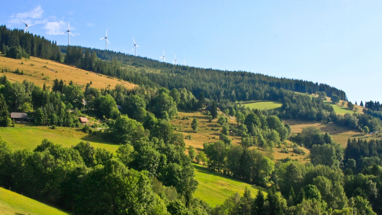 Photo of Outdoor in Sankt Kathrein am Hauenstein