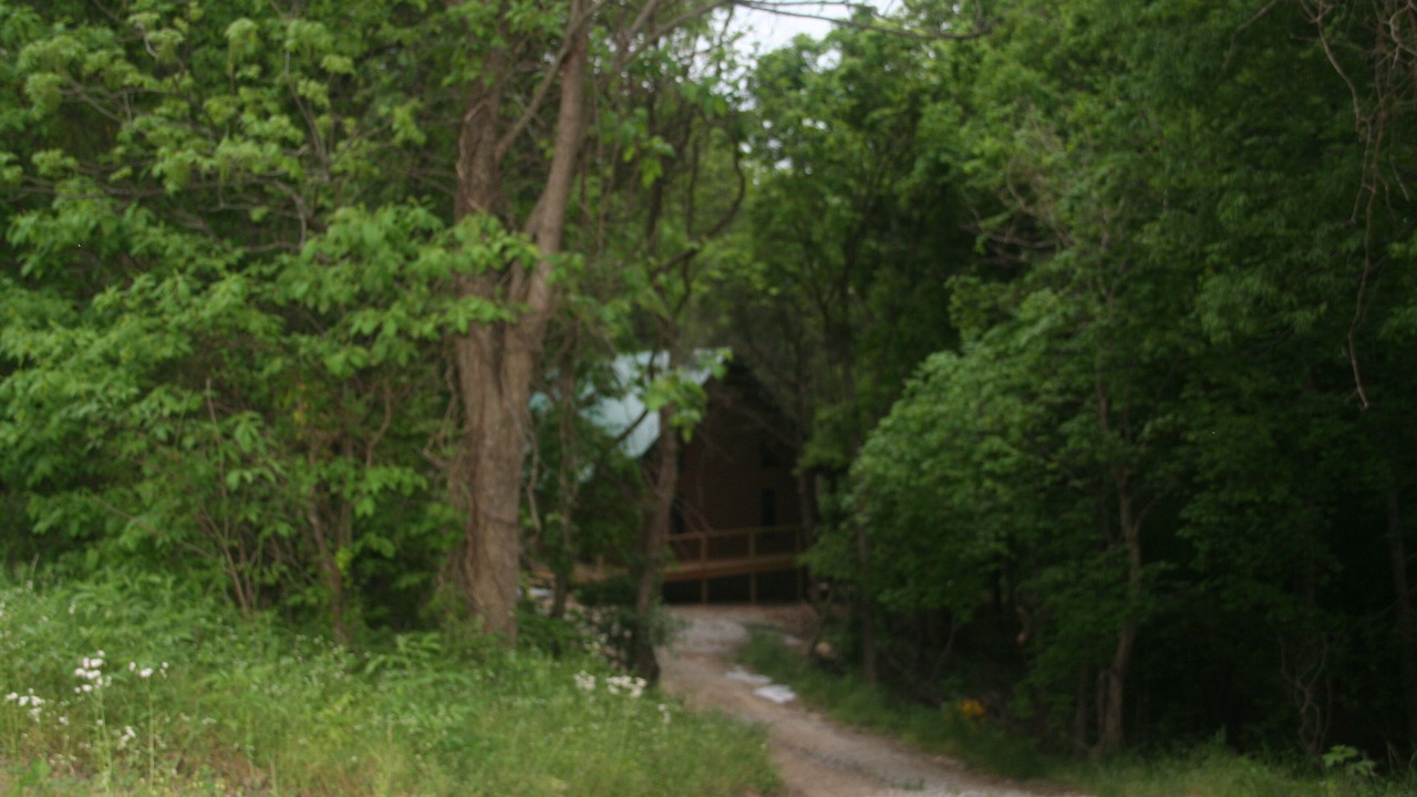 Photo of Outdoor in Carbondale