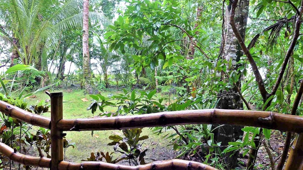 Photo of Outdoor in Cabayugan