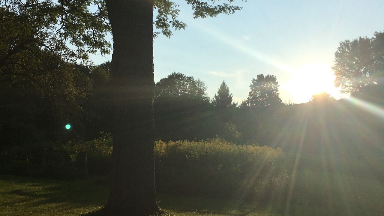 Photo of Others in Cazenovia