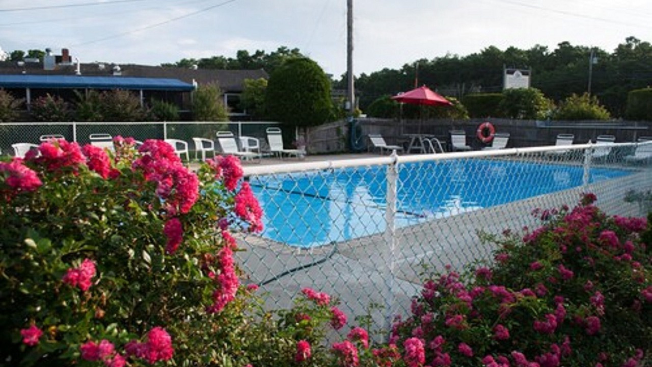 Photo of Outdoor in Wellfleet