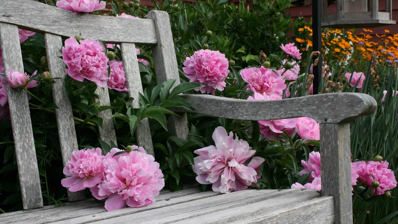 Photo of Outdoor in Williamsburg