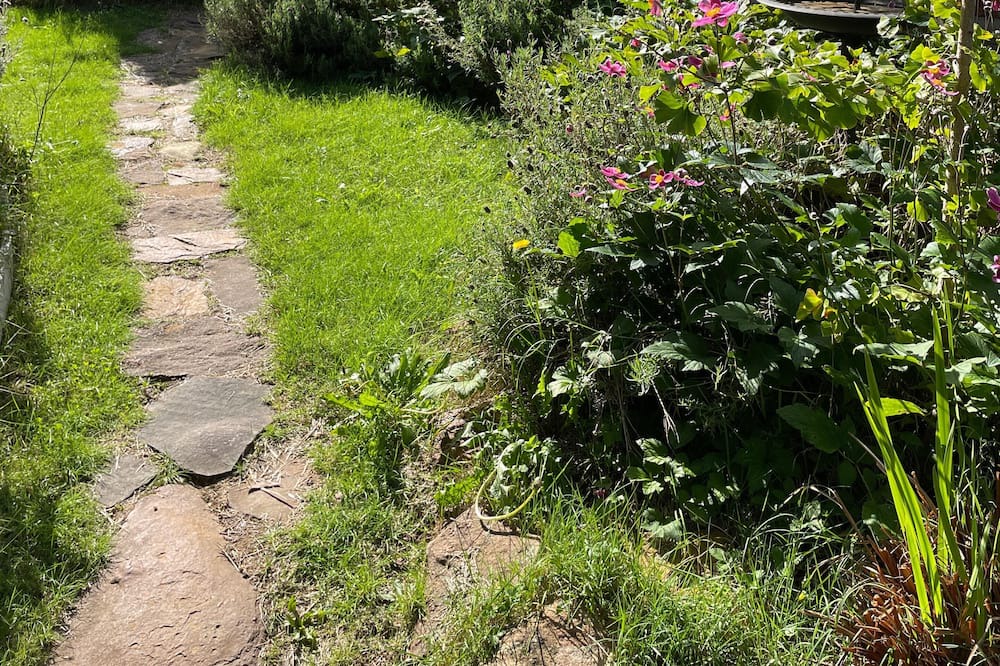 Photo of Outdoor in Katoomba