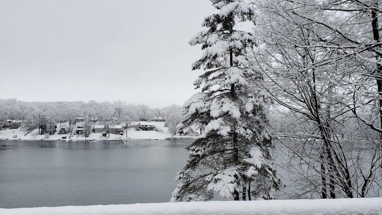 Photo of Outdoor in Columbia City